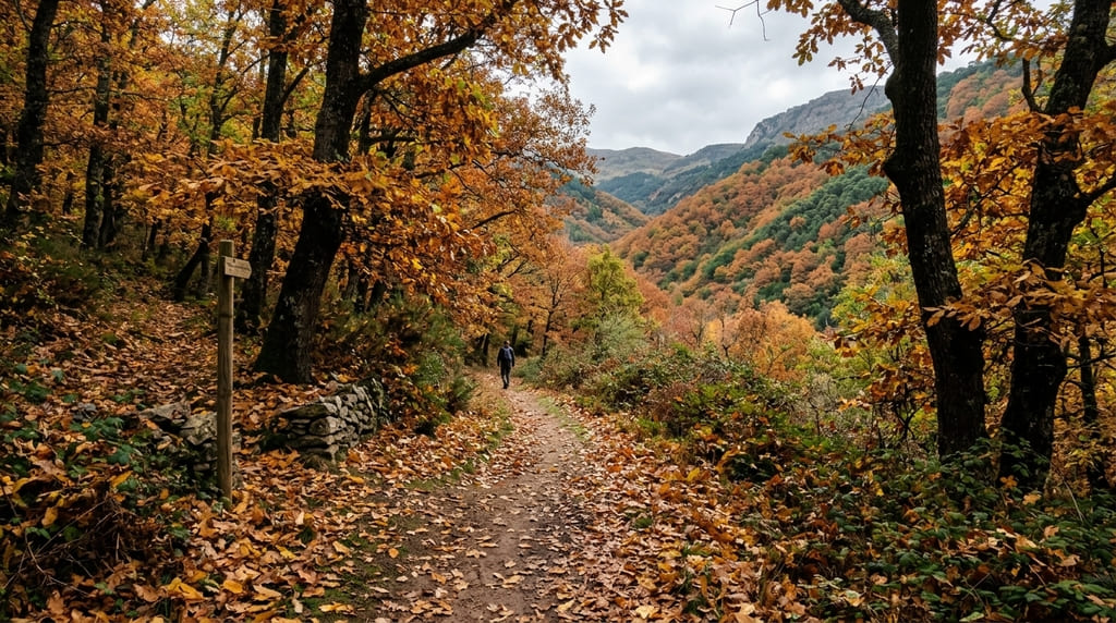 Castañares del Bosque de Cobre en el Valle del Genal en noviembre